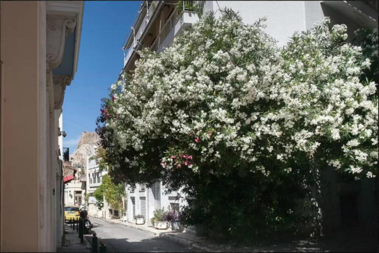 דירות אתונה By The Acropolis, In The Heart Of Plaka! מראה חיצוני תמונה